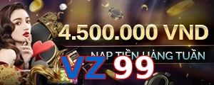 VZ99